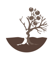 Touching the Shadow, Holding the Light logo